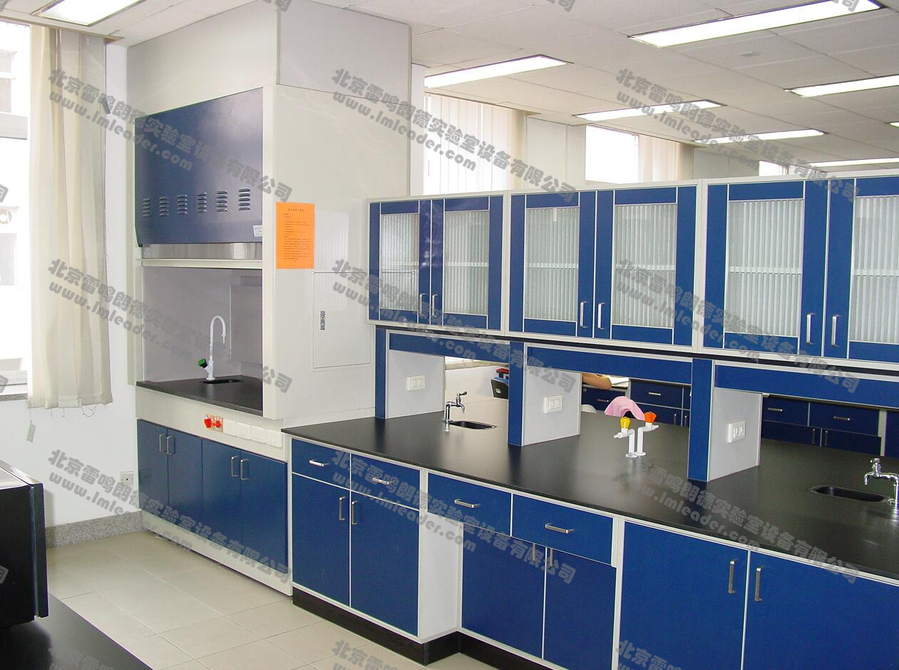 北京雷鸣朗德实验室设备有限公司,实验室设备,实验台厂家,实验室储物柜,实验室家具,实验室实验台,实验台,通风柜,通风系统,北京实验台,实验室装修,气路工程,实验室装修,实验台生产厂家,药品柜,试剂柜,实验柜,通风柜,防爆柜,毒品柜,气瓶柜,天平台,实验室储物柜